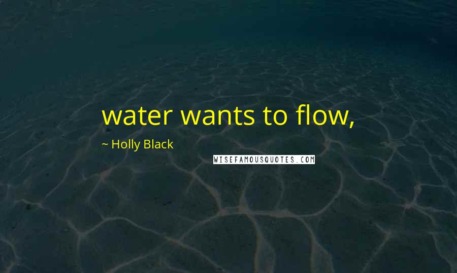 Holly Black Quotes: water wants to flow,