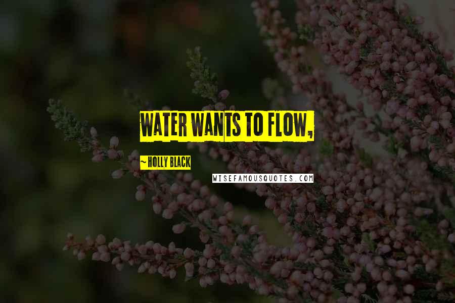 Holly Black Quotes: water wants to flow,