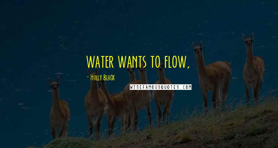 Holly Black Quotes: water wants to flow,