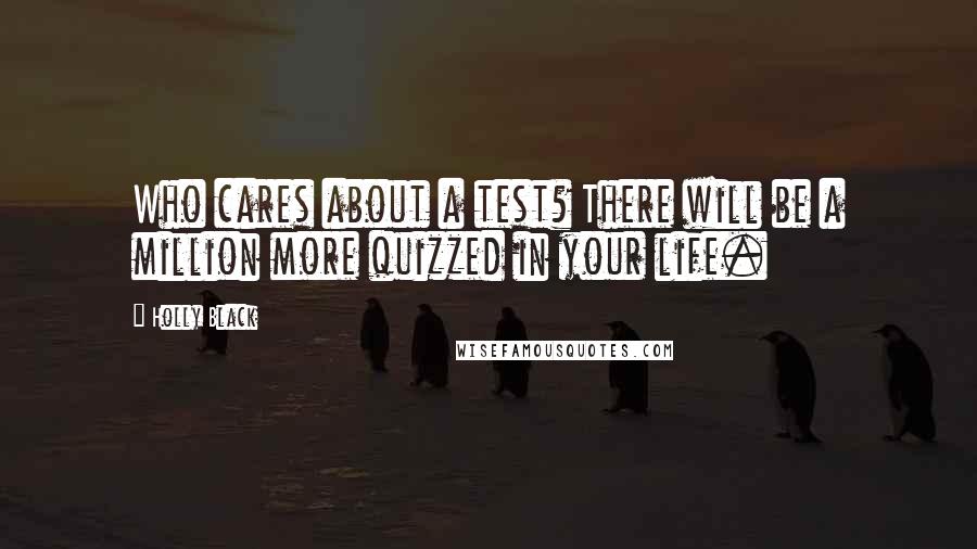 Holly Black Quotes: Who cares about a test? There will be a million more quizzed in your life.