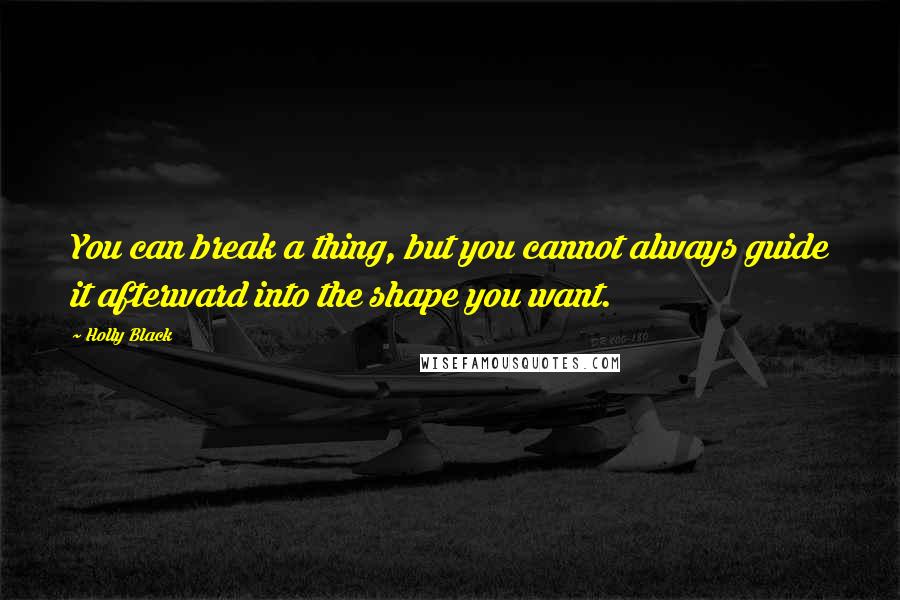 Holly Black Quotes: You can break a thing, but you cannot always guide it afterward into the shape you want.