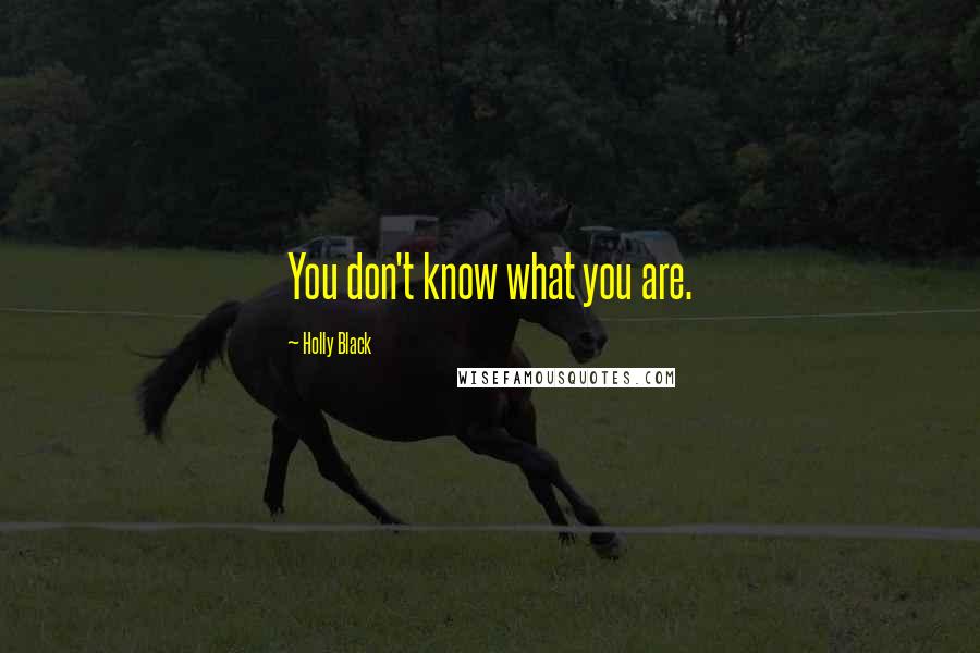 Holly Black Quotes: You don't know what you are.