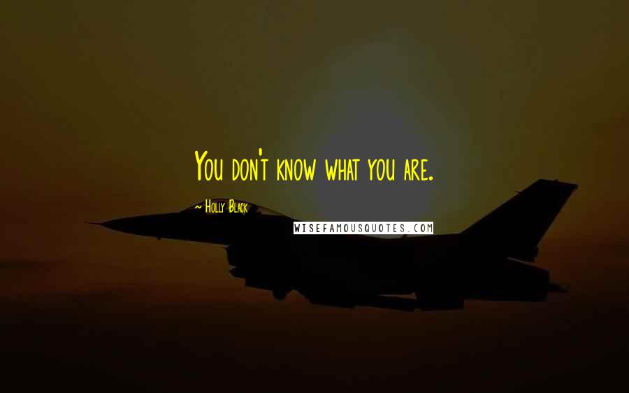 Holly Black Quotes: You don't know what you are.