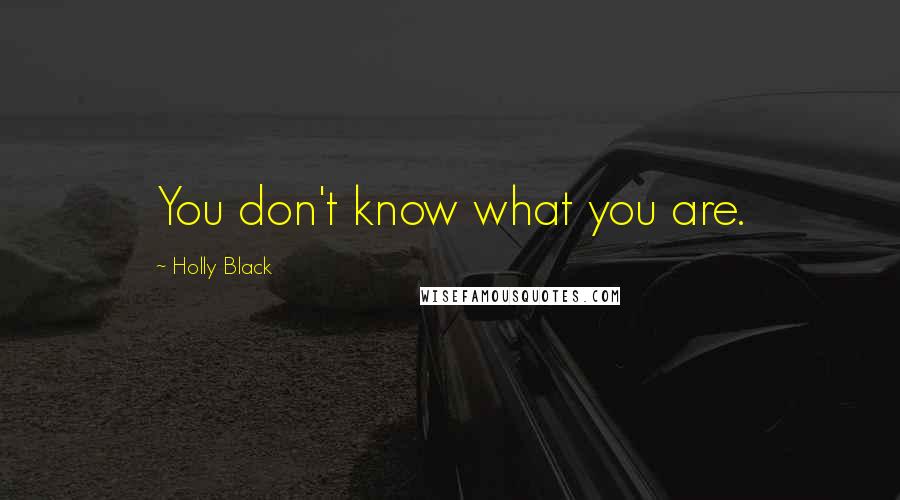 Holly Black Quotes: You don't know what you are.