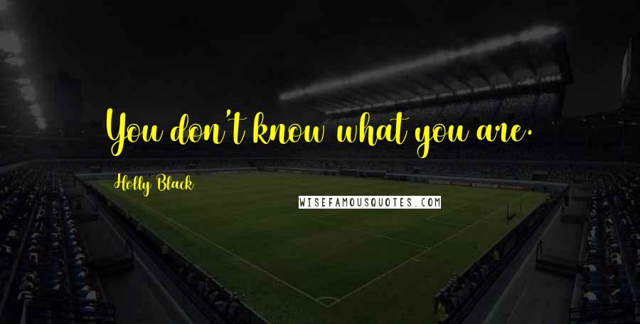 Holly Black Quotes: You don't know what you are.