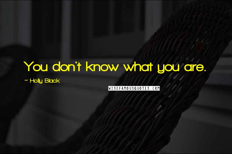 Holly Black Quotes: You don't know what you are.