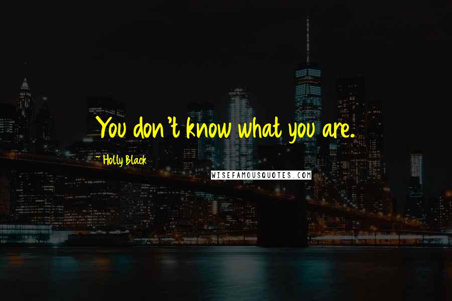 Holly Black Quotes: You don't know what you are.