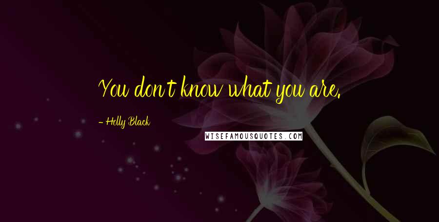 Holly Black Quotes: You don't know what you are.