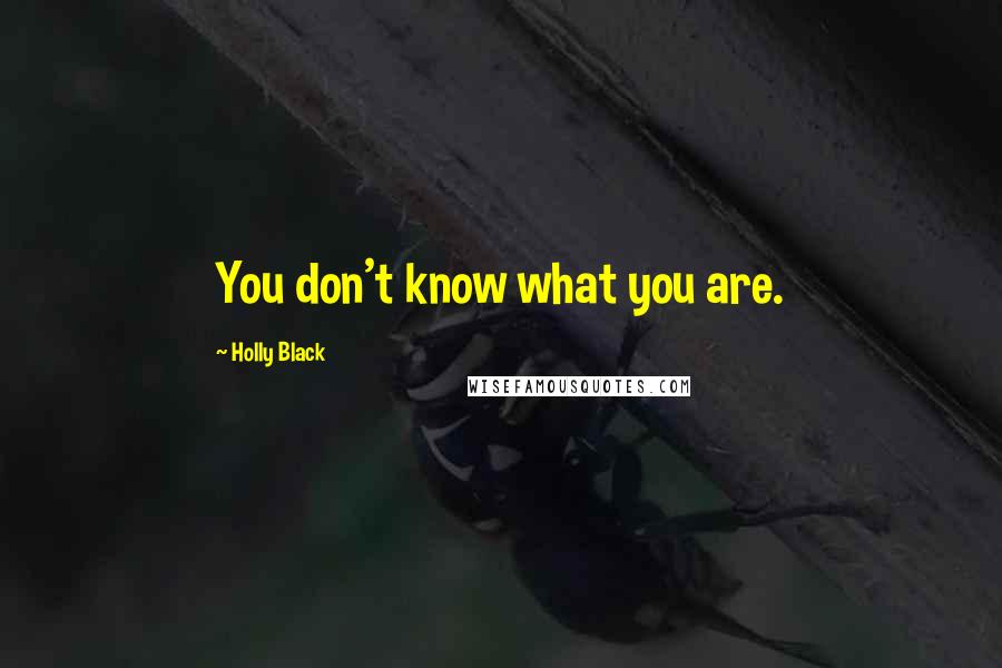 Holly Black Quotes: You don't know what you are.