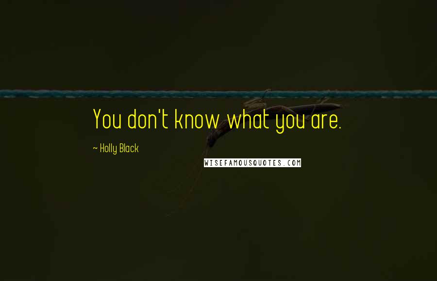 Holly Black Quotes: You don't know what you are.