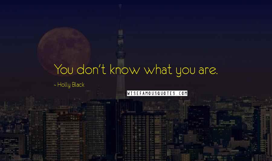 Holly Black Quotes: You don't know what you are.