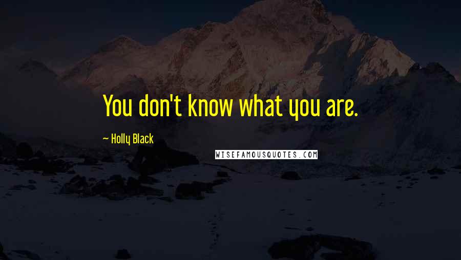 Holly Black Quotes: You don't know what you are.