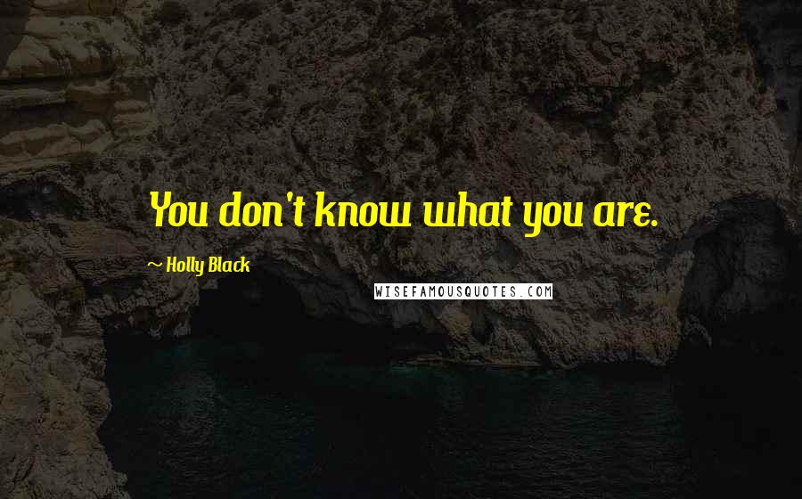 Holly Black Quotes: You don't know what you are.