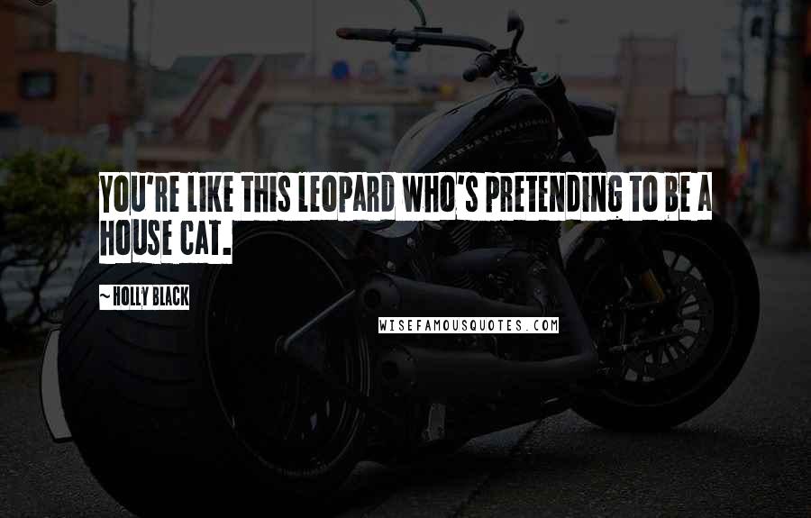 Holly Black Quotes: You're like this leopard who's pretending to be a house cat.