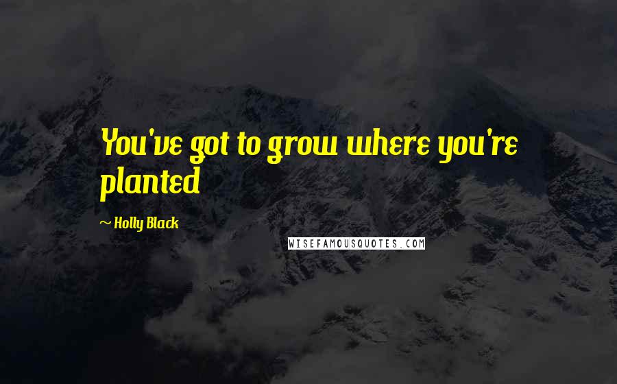 Holly Black Quotes: You've got to grow where you're planted