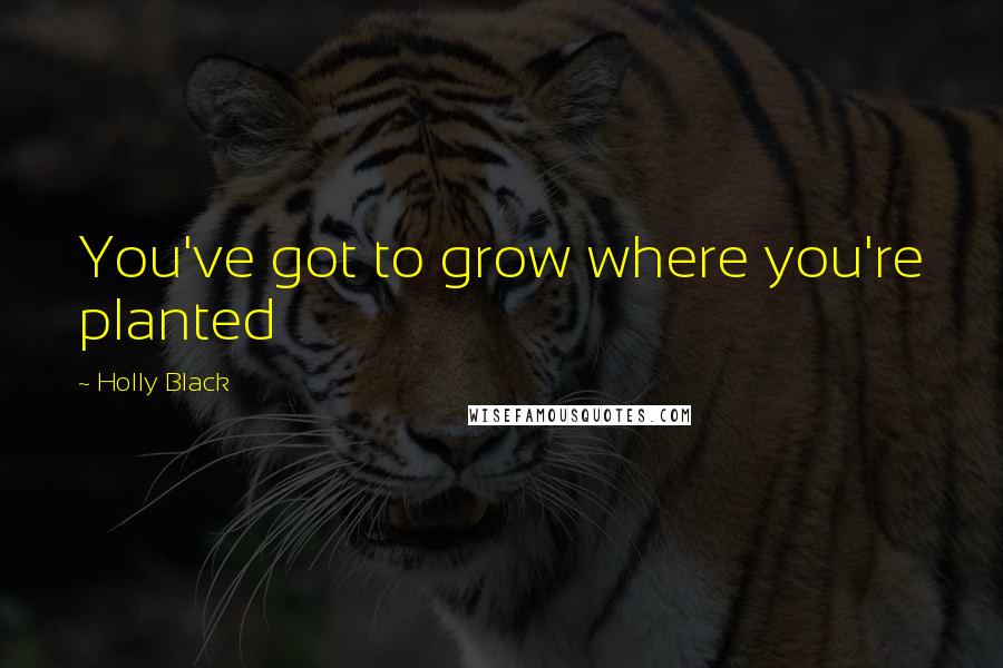 Holly Black Quotes: You've got to grow where you're planted