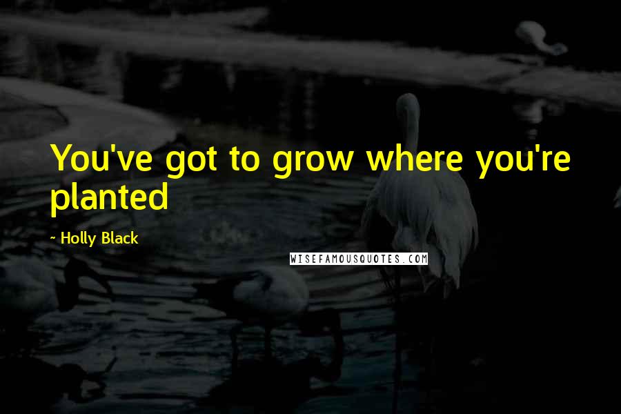 Holly Black Quotes: You've got to grow where you're planted