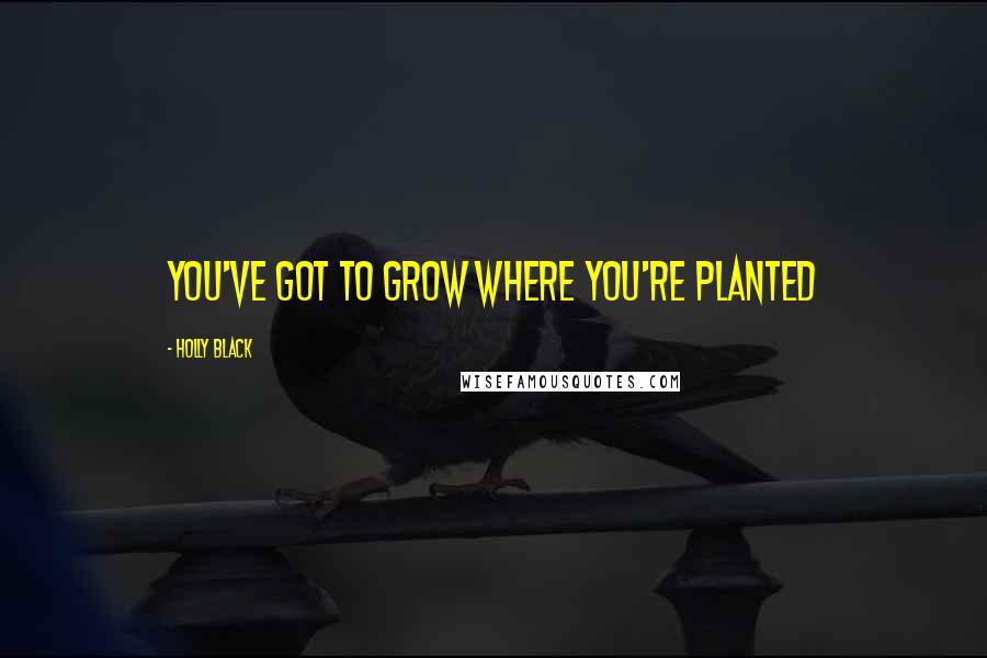 Holly Black Quotes: You've got to grow where you're planted