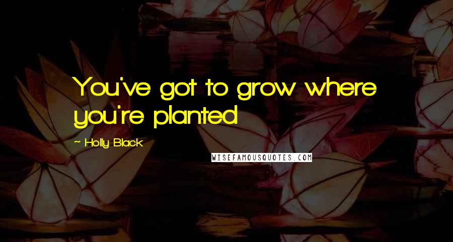 Holly Black Quotes: You've got to grow where you're planted