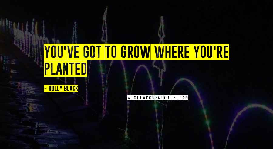 Holly Black Quotes: You've got to grow where you're planted