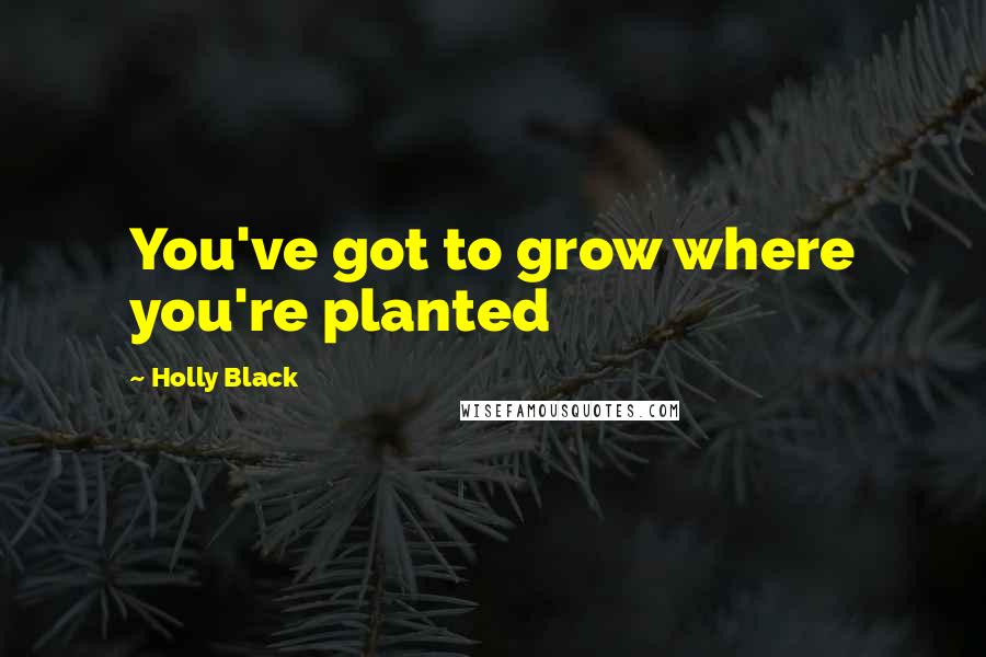 Holly Black Quotes: You've got to grow where you're planted