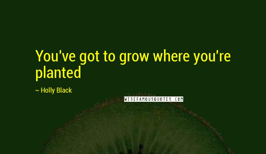 Holly Black Quotes: You've got to grow where you're planted