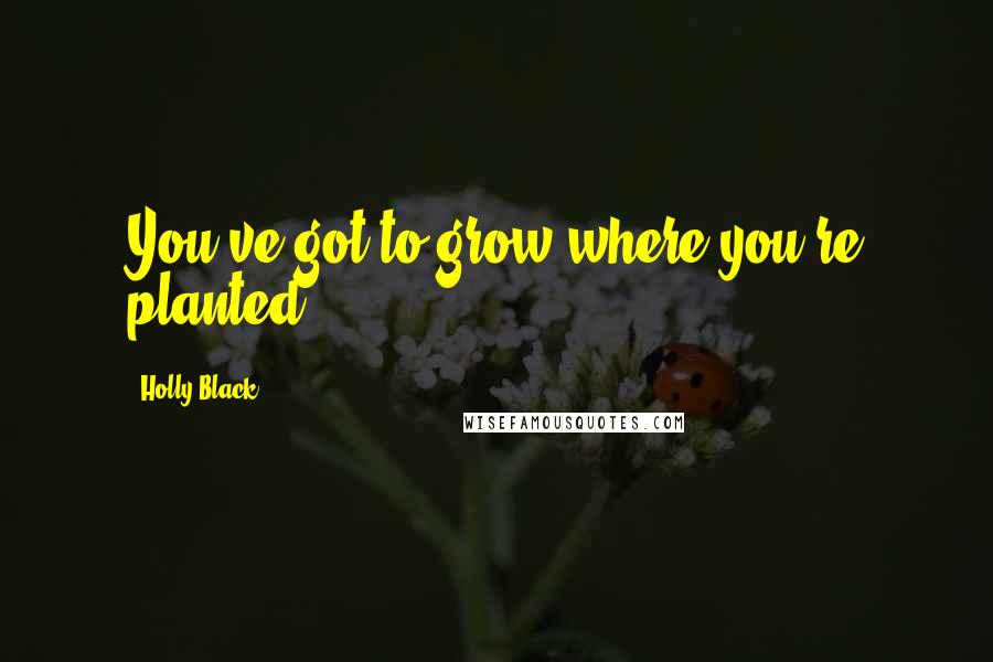 Holly Black Quotes: You've got to grow where you're planted