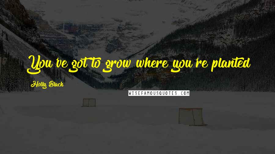 Holly Black Quotes: You've got to grow where you're planted