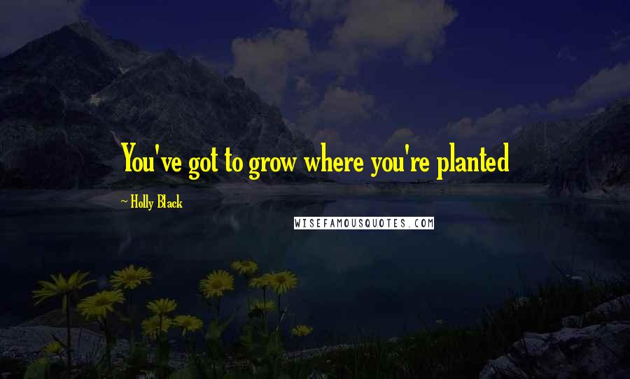 Holly Black Quotes: You've got to grow where you're planted