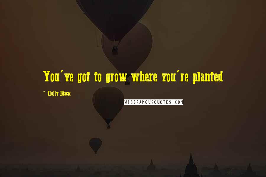 Holly Black Quotes: You've got to grow where you're planted