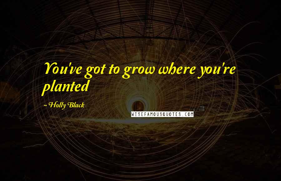 Holly Black Quotes: You've got to grow where you're planted