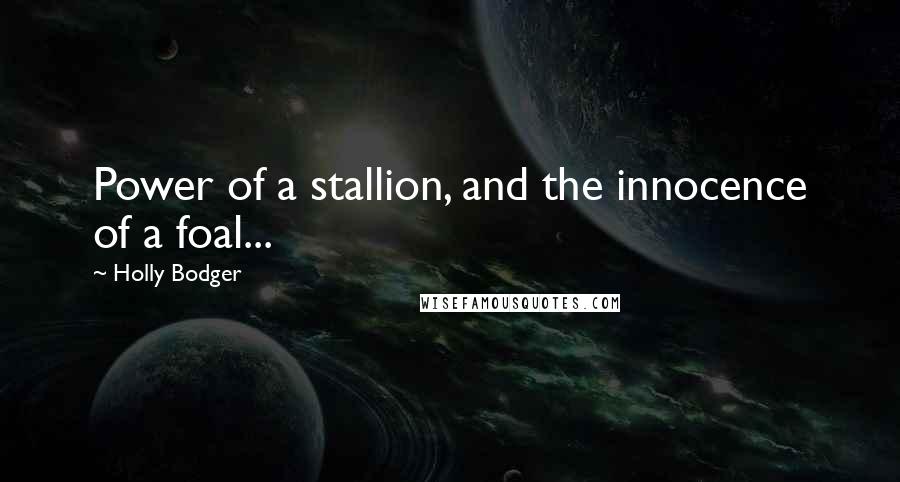 Holly Bodger Quotes: Power of a stallion, and the innocence of a foal...