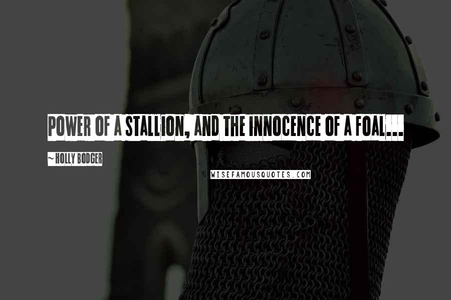 Holly Bodger Quotes: Power of a stallion, and the innocence of a foal...