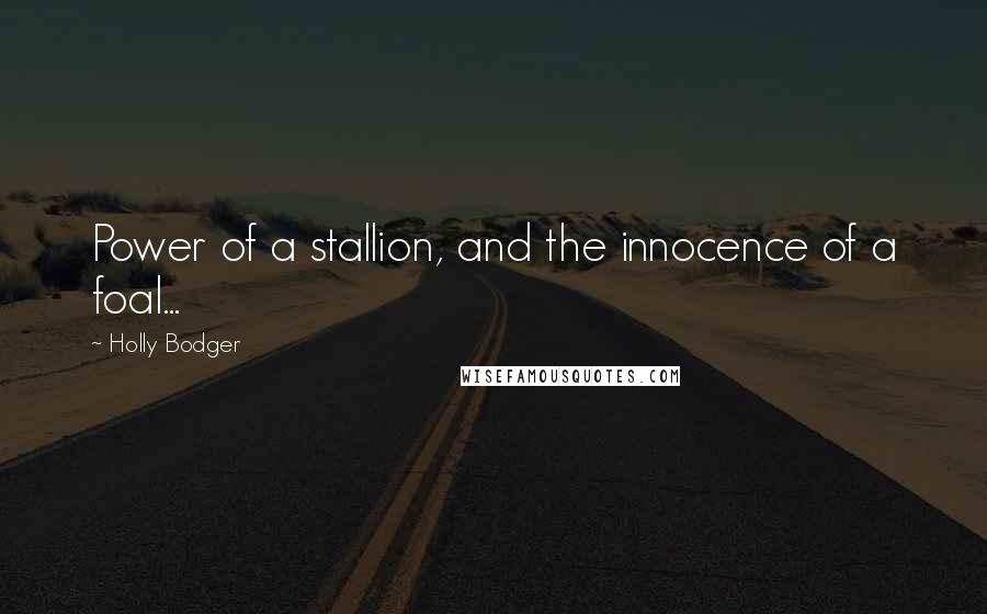 Holly Bodger Quotes: Power of a stallion, and the innocence of a foal...