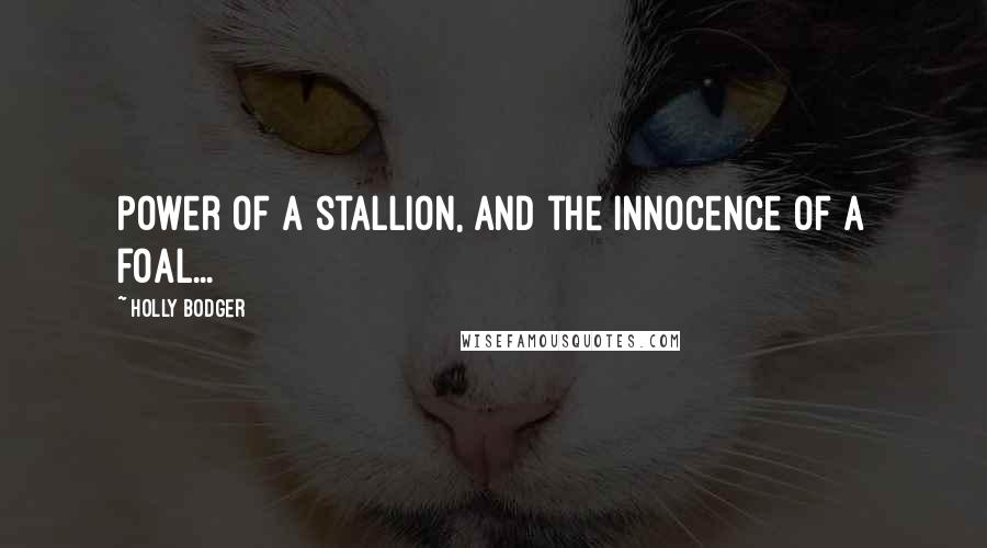 Holly Bodger Quotes: Power of a stallion, and the innocence of a foal...