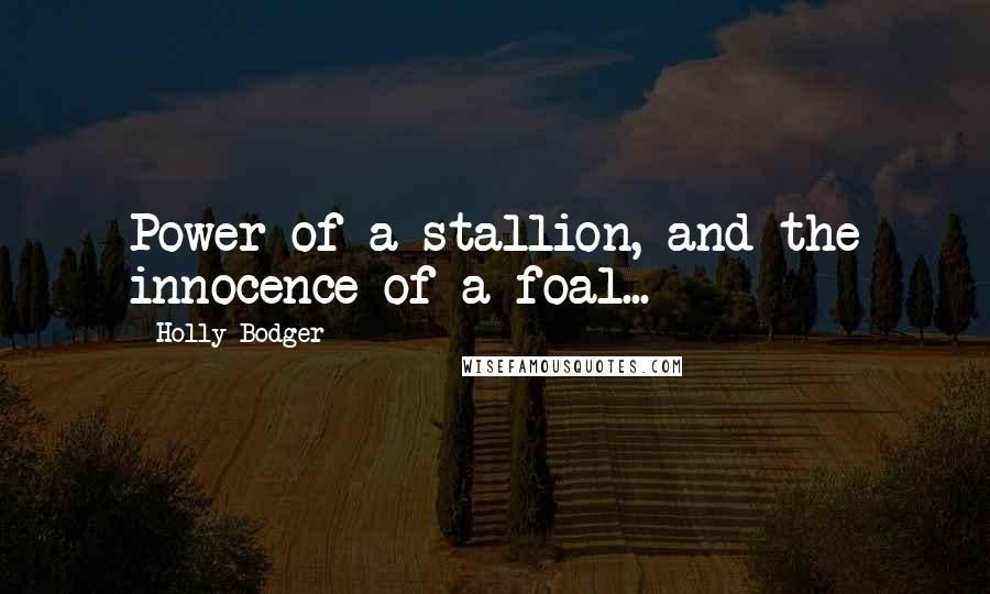 Holly Bodger Quotes: Power of a stallion, and the innocence of a foal...