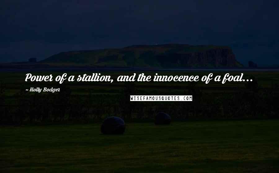 Holly Bodger Quotes: Power of a stallion, and the innocence of a foal...