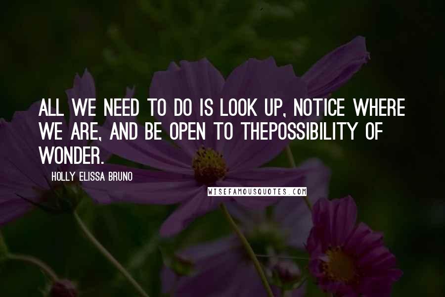 Holly Elissa Bruno Quotes: All we need to do is look up, notice where we are, and be open to thepossibility of wonder.