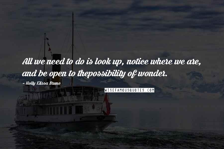 Holly Elissa Bruno Quotes: All we need to do is look up, notice where we are, and be open to thepossibility of wonder.