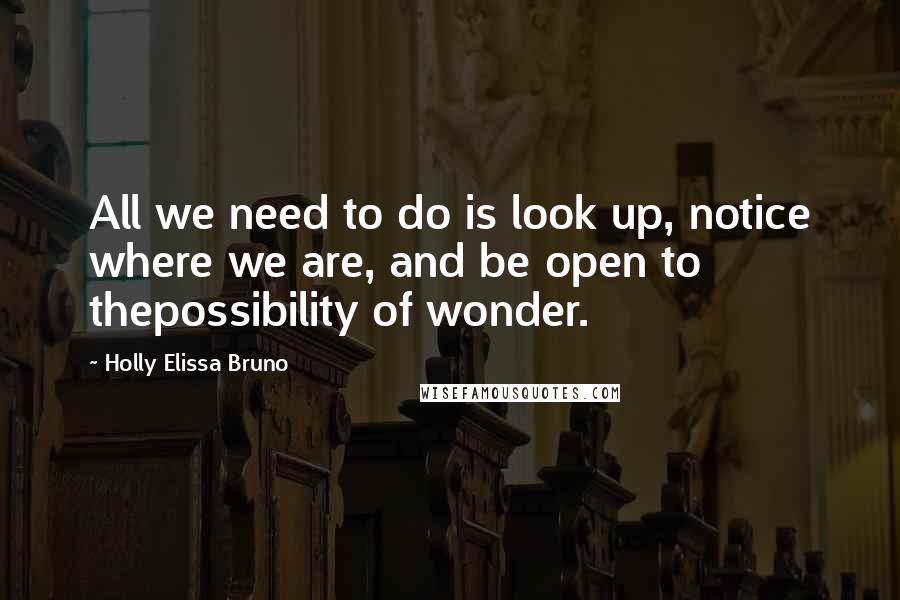 Holly Elissa Bruno Quotes: All we need to do is look up, notice where we are, and be open to thepossibility of wonder.