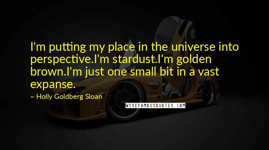 Holly Goldberg Sloan Quotes: I'm putting my place in the universe into perspective.I'm stardust.I'm golden brown.I'm just one small bit in a vast expanse.