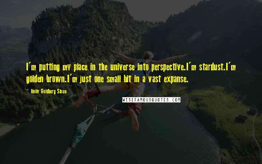 Holly Goldberg Sloan Quotes: I'm putting my place in the universe into perspective.I'm stardust.I'm golden brown.I'm just one small bit in a vast expanse.