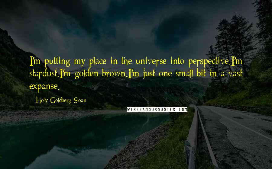 Holly Goldberg Sloan Quotes: I'm putting my place in the universe into perspective.I'm stardust.I'm golden brown.I'm just one small bit in a vast expanse.