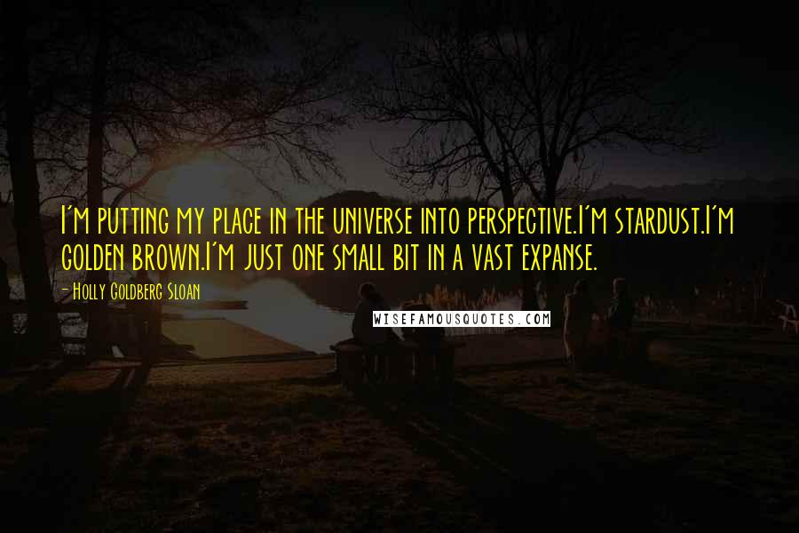 Holly Goldberg Sloan Quotes: I'm putting my place in the universe into perspective.I'm stardust.I'm golden brown.I'm just one small bit in a vast expanse.