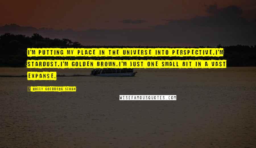 Holly Goldberg Sloan Quotes: I'm putting my place in the universe into perspective.I'm stardust.I'm golden brown.I'm just one small bit in a vast expanse.