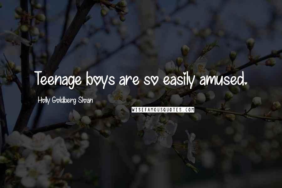 Holly Goldberg Sloan Quotes: Teenage boys are so easily amused.