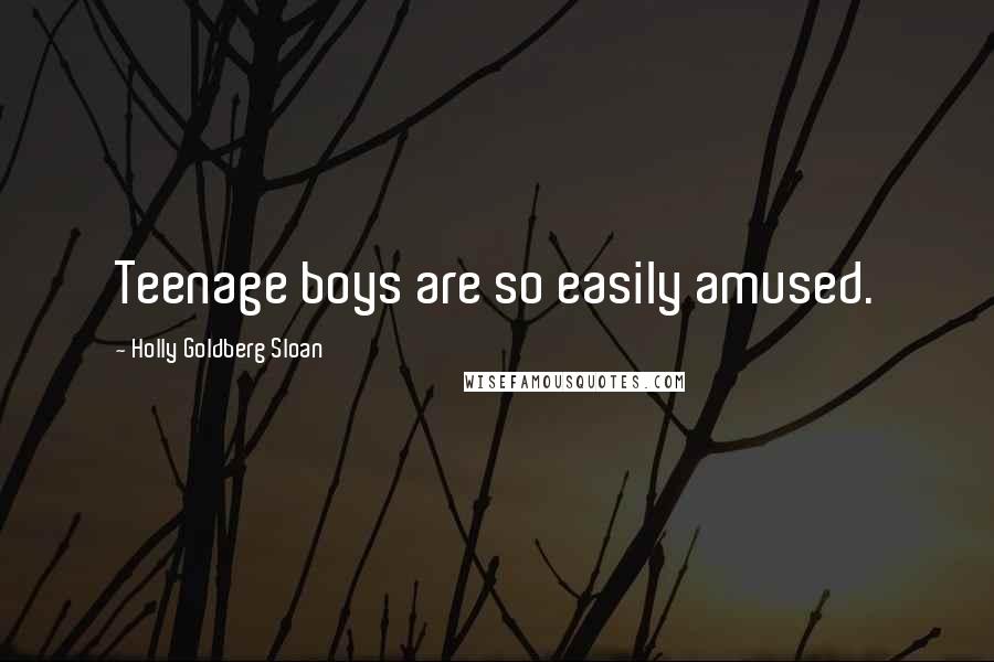 Holly Goldberg Sloan Quotes: Teenage boys are so easily amused.