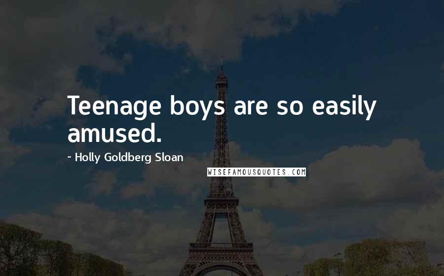 Holly Goldberg Sloan Quotes: Teenage boys are so easily amused.