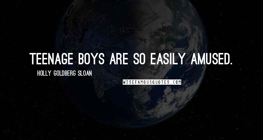 Holly Goldberg Sloan Quotes: Teenage boys are so easily amused.