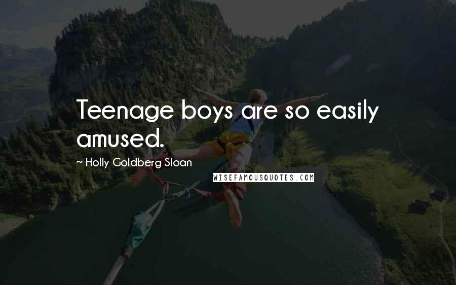 Holly Goldberg Sloan Quotes: Teenage boys are so easily amused.